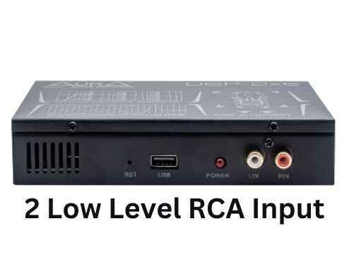 RCA Input